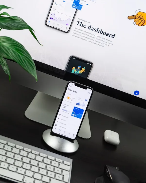 Website project preview
